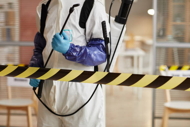 Professional Sewage Cleanup technician working in Luebbering, MO